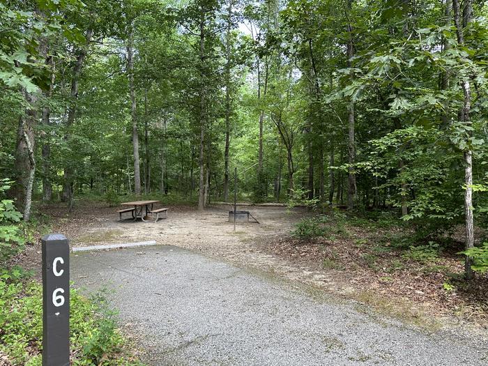 Paved parking space, picnic table, and fire ring in a shaded forest campsiteCampsite C6