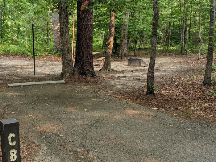Paved parking space, picnic table, and fire ring in a shaded forest campsiteCampsite C8