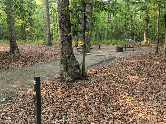 Paved parking space, picnic table, and fire ring in a shaded forest campsiteCampsite C10