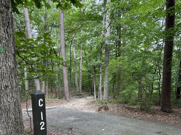 Paved parking space, picnic table, and fire ring in a shaded forest campsiteCampsite C12