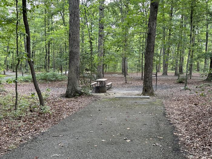 Paved parking space, picnic table, and fire ring in a shaded forest campsiteCampsite C13