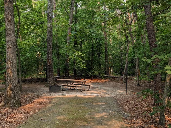 Paved parking space, picnic table, and fire ring in a shaded forest campsiteCampsite C16