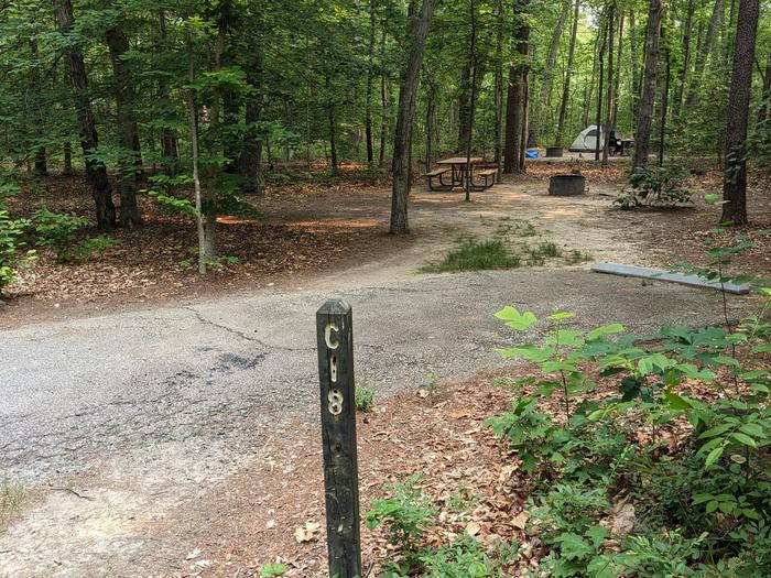 Paved parking space, picnic table, and fire ring in a shaded forest campsiteCampsite C18