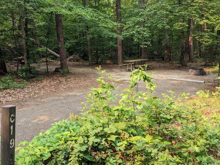 Paved parking space, picnic table, and fire ring in a shaded forest campsiteCampsite C19