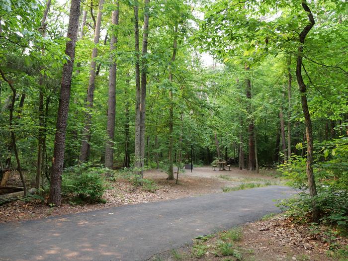 Paved parking space, picnic table, and fire ring in a shaded forest campsiteCampsite C21