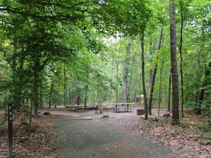 Paved parking space, picnic table, and fire ring in a shaded forest campsiteCampsite C23
