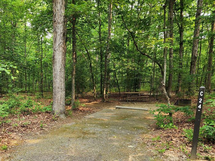 Paved parking space, picnic table, and fire ring in a shaded forest campsiteCampsite C24