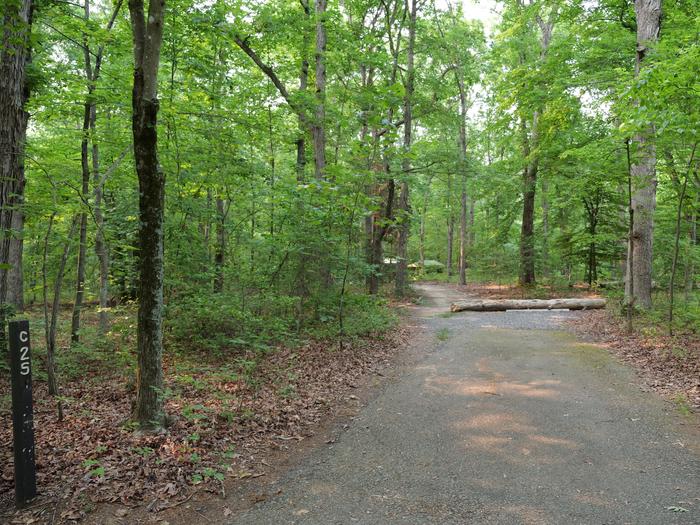 Paved parking space, picnic table, and fire ring in a shaded forest campsiteCampsite C25