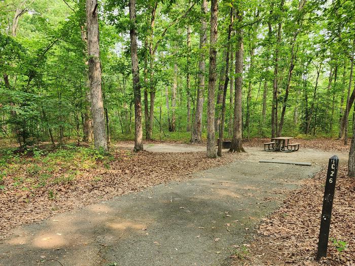 Paved parking space, picnic table, and fire ring in a shaded forest campsiteCampsite C26