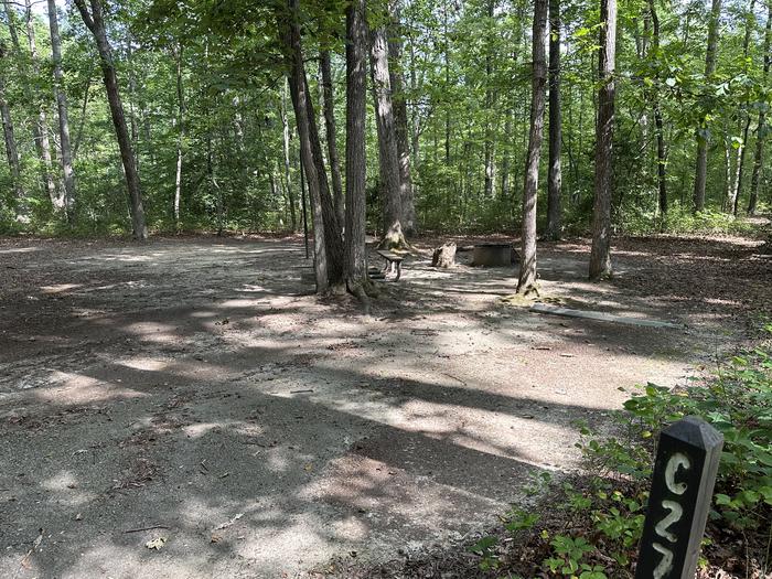 Paved parking space, picnic table, and fire ring in a shaded forest campsiteCampsite C27