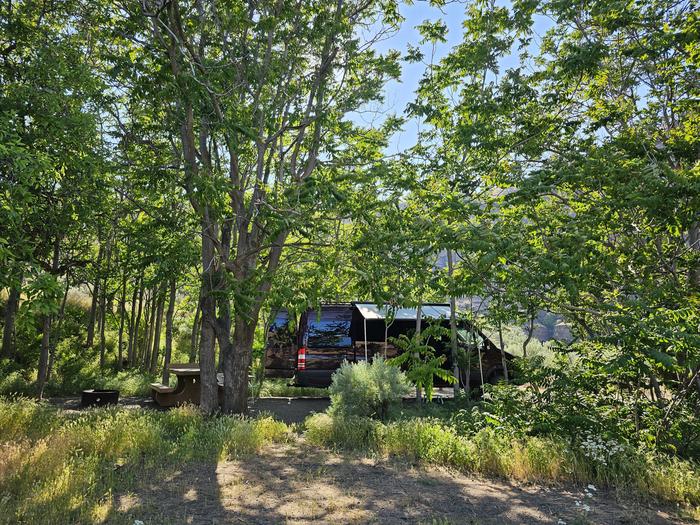 Shady campsite at Beavertail Campground.