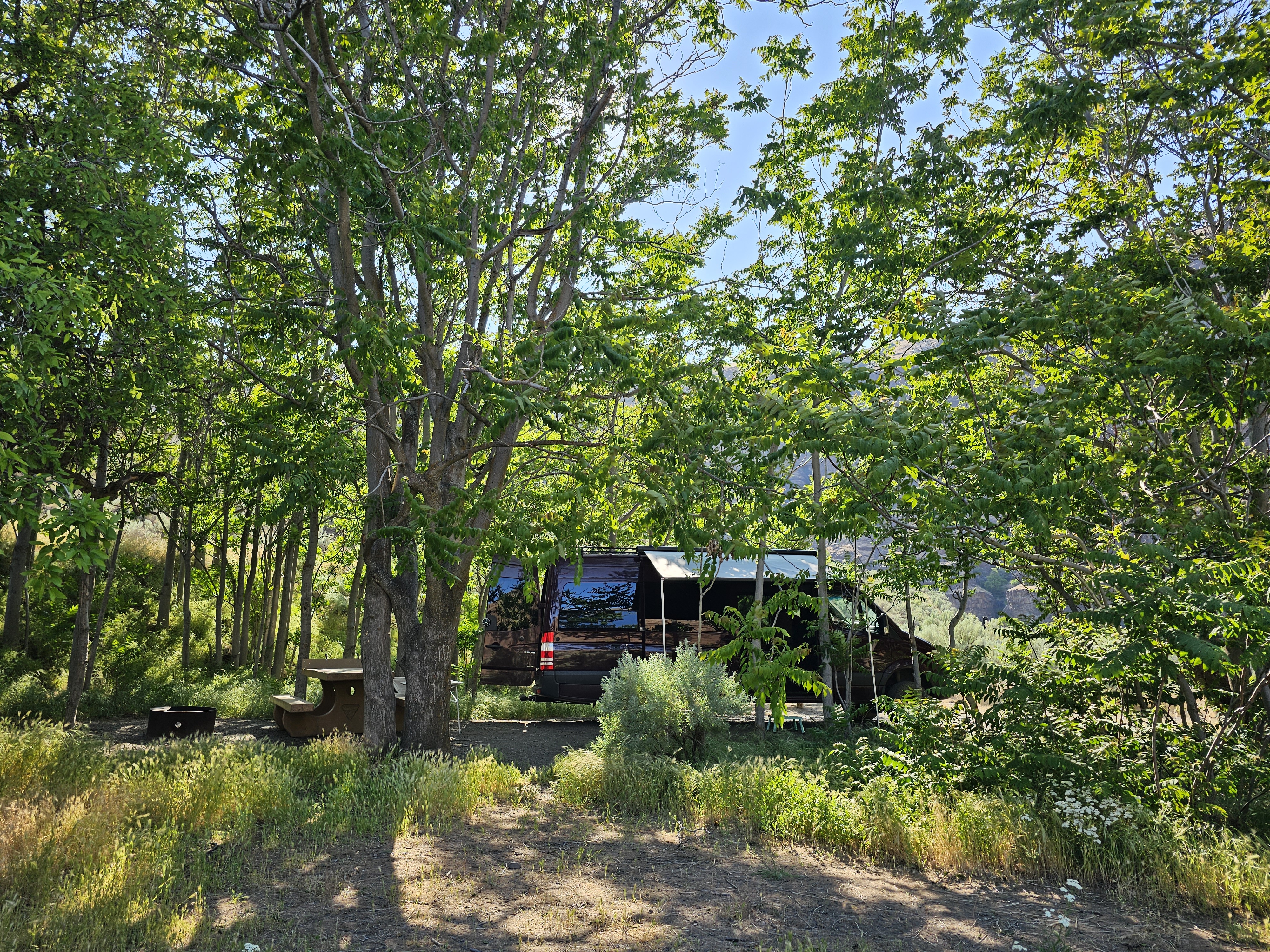 Beavertail Campground