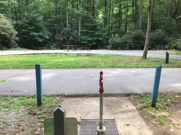 Davidson River Campground - White Oak Loop, Site 19. Two sites from bathhouse. Across the road from water spigot. 