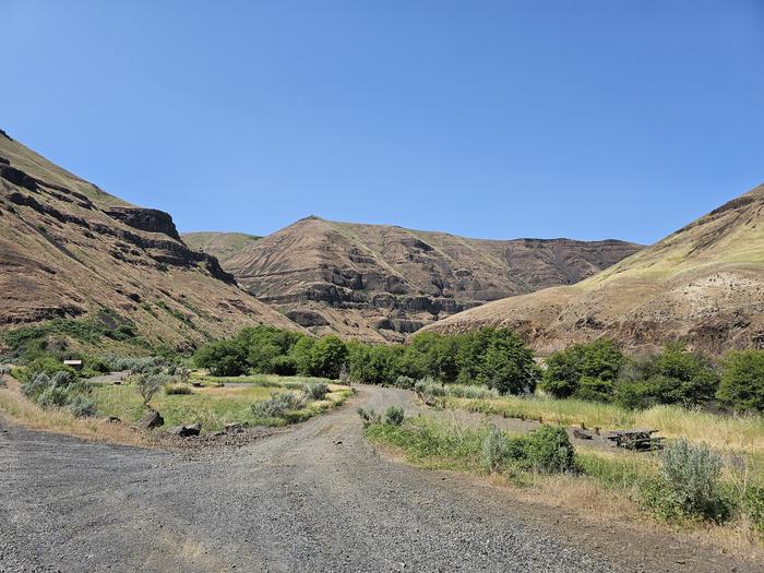 View of Jones Canyon Campground and Deschutes River Canyon walls beyond.