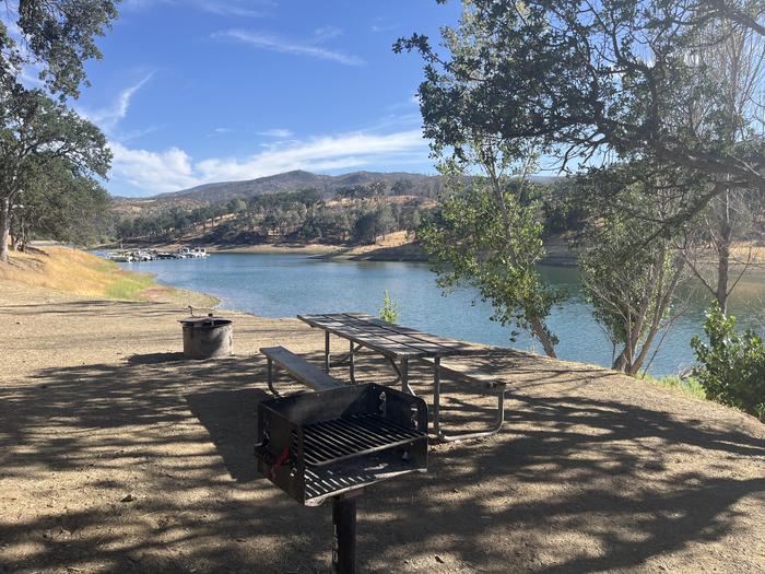 A photo of Site 150 of Loop Putah at Putah Canyon Campground- Napa, CA (BOR) with Picnic Table, Fire Pit, Waterfront