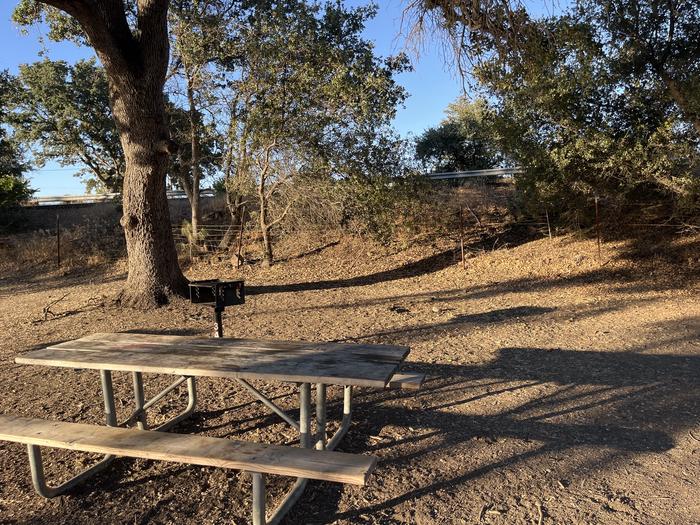 A photo of Site 034 of Loop Putah at Putah Canyon Campground- Napa, CA (BOR) with Picnic Table