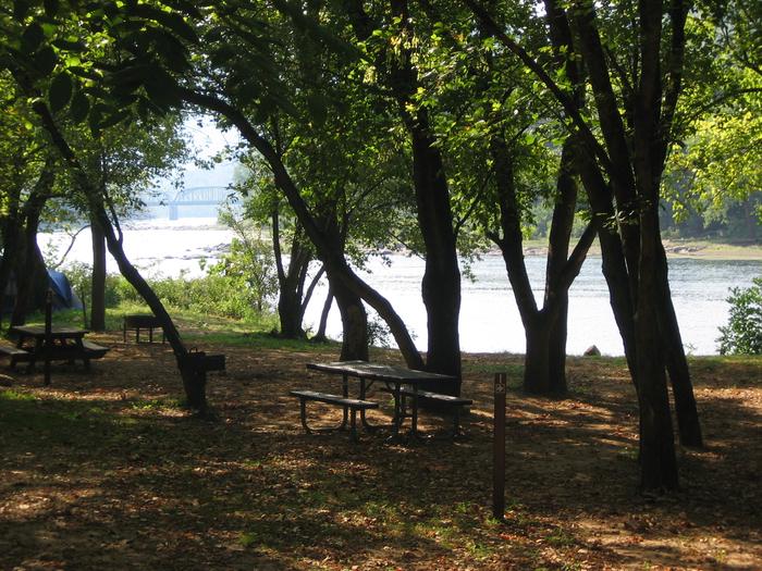 Grandview Sandbar Walk-In CampsitesThere are 6 walk-in tent only campsites next to the New River at Grandview Sandbar Campground.