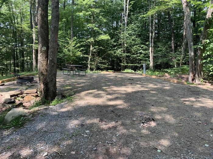 A photo of Site 7 of Loop East Branch at East Branch Campground with Picnic Table, Electricity Hookup, Fire Pit, Shade, Lantern Pole