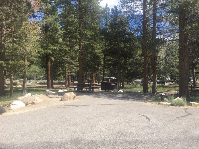 A photo of Site 030 of Loop ROBI at ROBINSON CREEK NORTH with Picnic Table, Fire Pit, Shade, Food Storage, Tent Pad