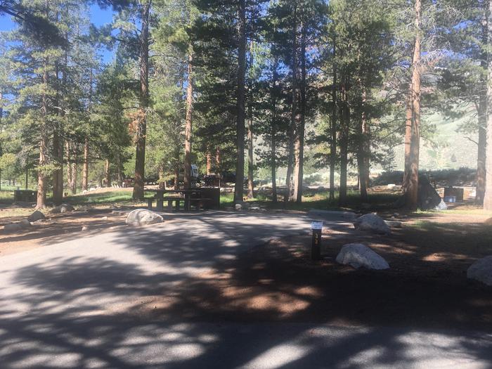 A photo of Site 033 of Loop ROBI at ROBINSON CREEK NORTH with Picnic Table, Fire Pit, Shade, Food Storage, Tent Pad