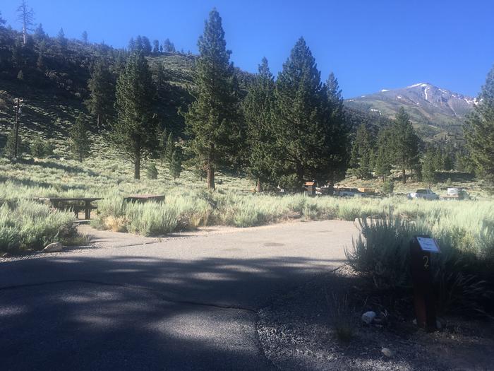 A photo of Site 002 of Loop MANAGEMENT SITES at CRAGS CAMPGROUND with Picnic Table, Fire Pit, Shade, Food Storage, Tent Pad