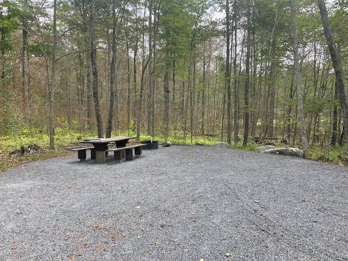 Site 2 tablepicnic table