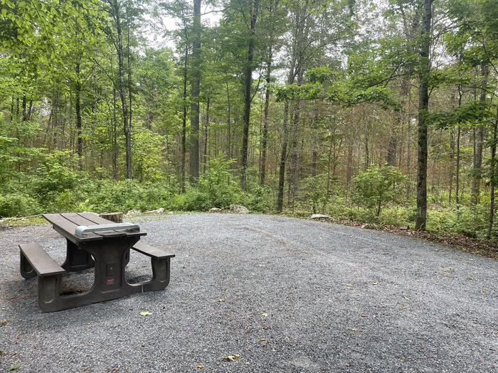 Site 6 tablepicnic table