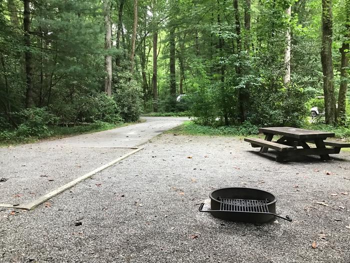 Davidson River Campground - White Oak Loop, Site 21. Site is near a bathhouse.  A water spigot is next to the site. 