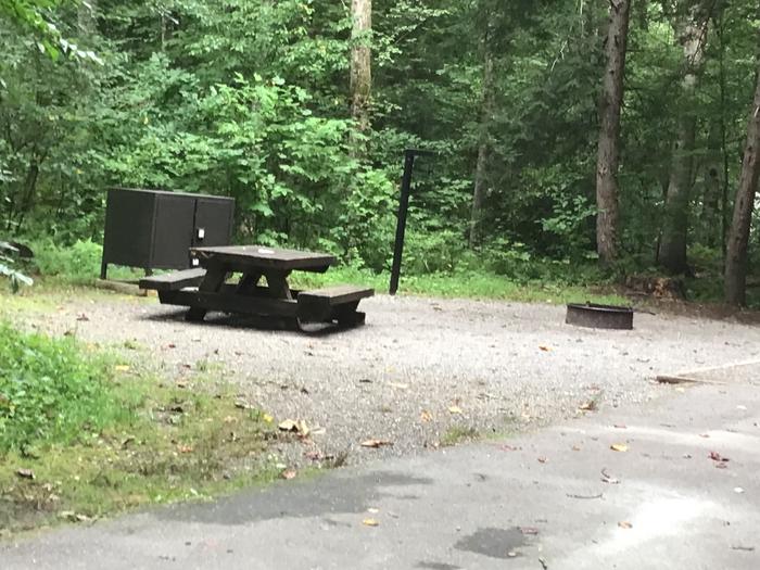Davidson River Campground - White Oak Loop, Site 21. Site is near a bathhouse.  A water spigot is next to the site. 