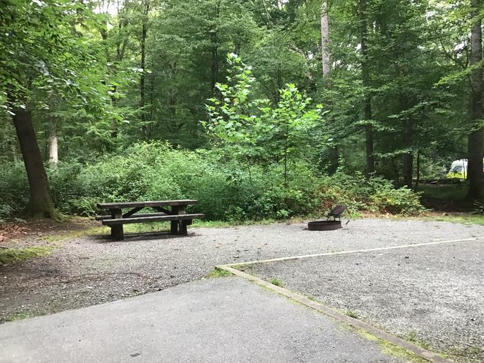 Davidson River Campground - Laurel Loop, Site 88. Site is near a bathhouse.  A water spigot is several sites away. 