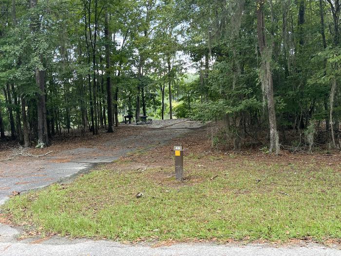 A photo of Site 49 of Loop RFOR at BLUFF CREEK with Picnic Table, Electricity Hookup, Sewer Hookup, Fire Pit, Shade, Tent Pad, Full Hookup, Waterfront, Lantern Pole, Water Hookup