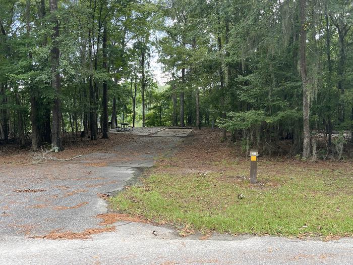 A photo of Site 49 of Loop RFOR at BLUFF CREEK with Picnic Table, Electricity Hookup, Sewer Hookup, Fire Pit, Shade, Tent Pad, Full Hookup, Waterfront, Lantern Pole, Water Hookup