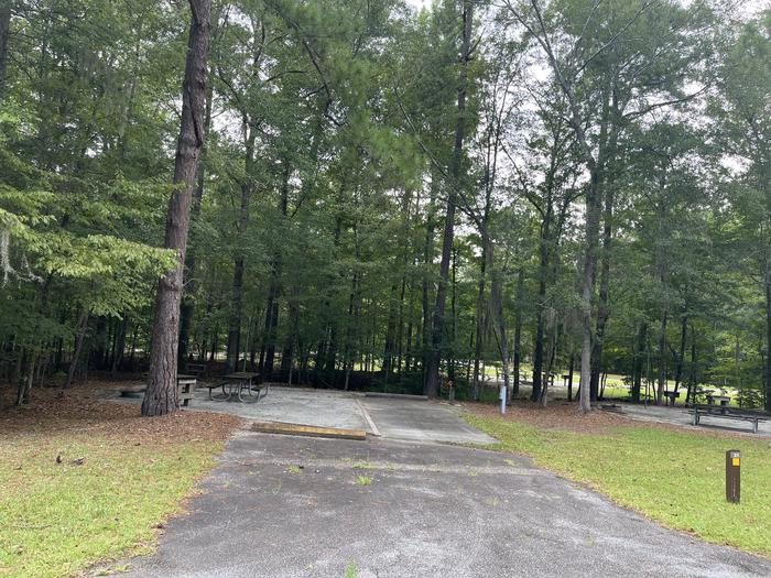 A photo of Site 21 of Loop RFOR at BLUFF CREEK with Picnic Table, Electricity Hookup, Sewer Hookup, Fire Pit, Shade, Tent Pad, Full Hookup, Waterfront, Lantern Pole, Water Hookup