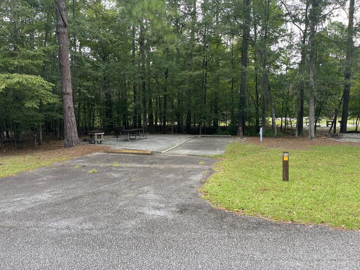 A photo of Site 21 of Loop RFOR at BLUFF CREEK with Picnic Table, Electricity Hookup, Sewer Hookup, Fire Pit, Shade, Tent Pad, Full Hookup, Lantern Pole, Water Hookup