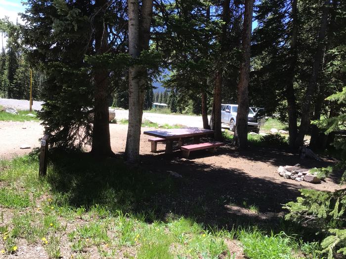 A photo of Site 030 of Loop LAKE at LAKE IRWIN with Picnic Table, Fire Pit