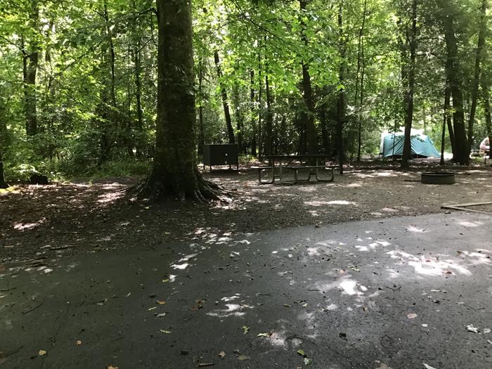 Davidson River Campground - White Oak Loop, Site 26. Bathhouse and water spigot next to site. 