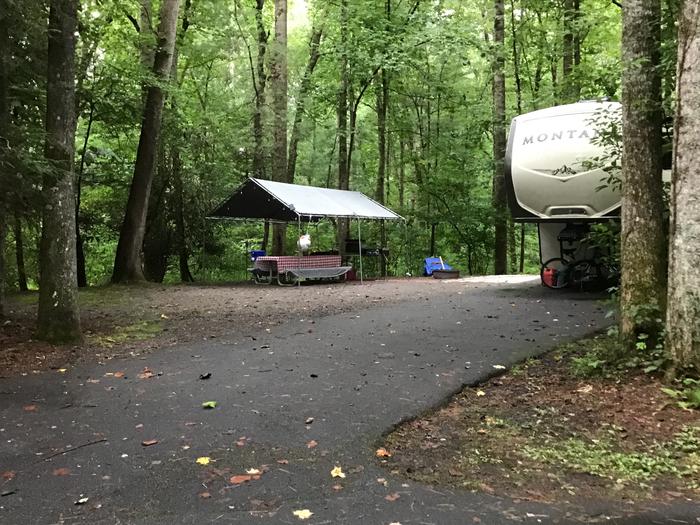 Davidson River Campground - White Oak Loop. Site 23.  Located next to bathhouse. Water spigot across the road. 