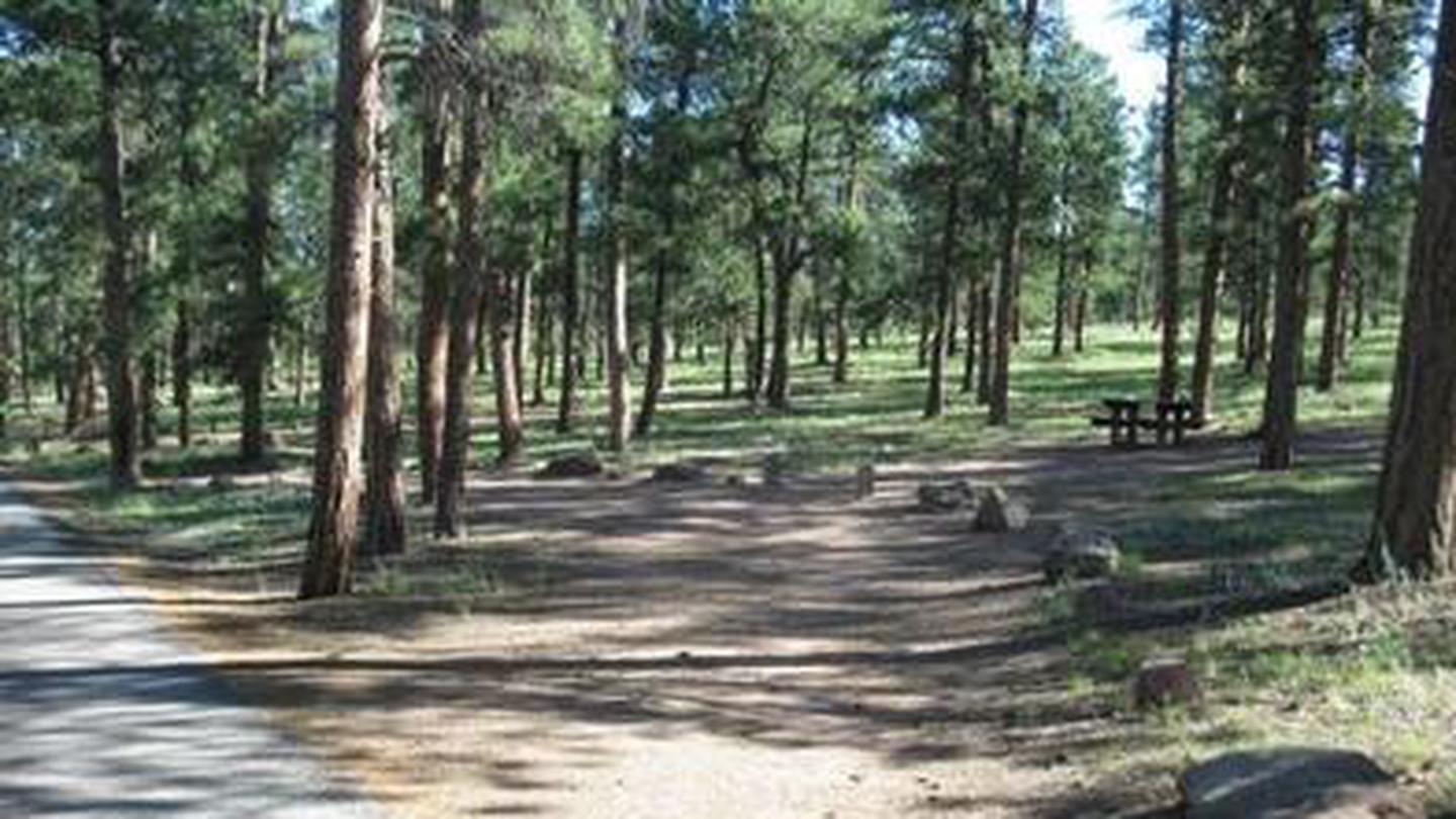 Colorado Campground view