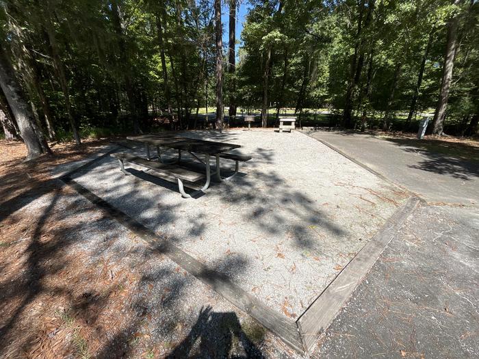 A photo of Site 20 of Loop RFOR at BLUFF CREEK with Picnic Table, Electricity Hookup, Fire Pit, Shade, Lantern Pole, Water Hookup