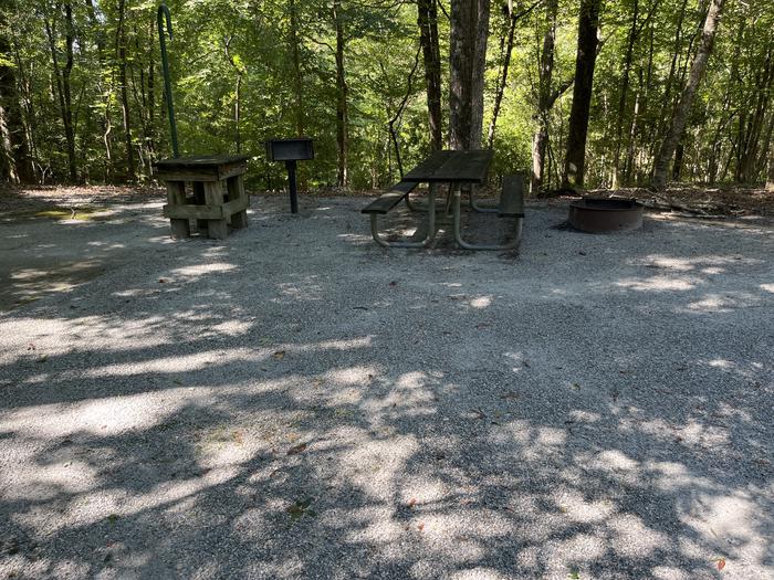 A photo of Site 10 of Loop UTRA at BLUFF CREEK with Picnic Table, Electricity Hookup, Fire Pit, Shade, Lantern Pole, Water Hookup