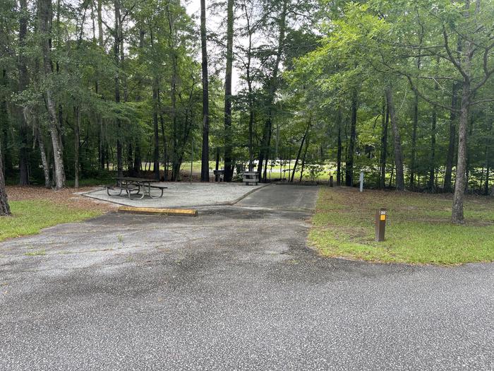 A photo of Site 20 of Loop RFOR at BLUFF CREEK with Picnic Table, Electricity Hookup, Sewer Hookup, Fire Pit, Shade, Tent Pad, Full Hookup, Lantern Pole, Water Hookup