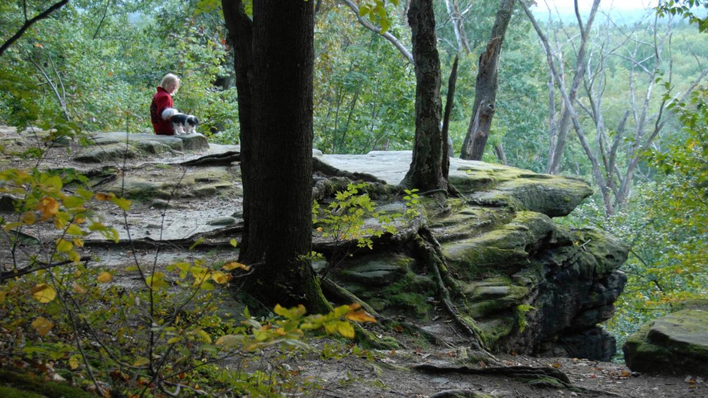 A park visitor and her dog enjoy the Ledges overlook