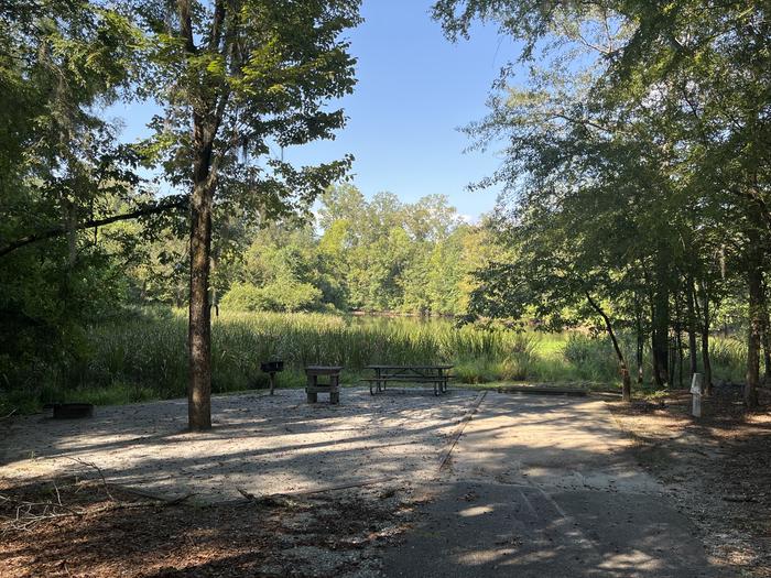 A photo of Site 83 of Loop CLOO at BLUFF CREEK with Picnic Table, Electricity Hookup, Sewer Hookup, Fire Pit, Shade, Food Storage, Tent Pad, Full Hookup, Waterfront, Lantern Pole, Water Hookup