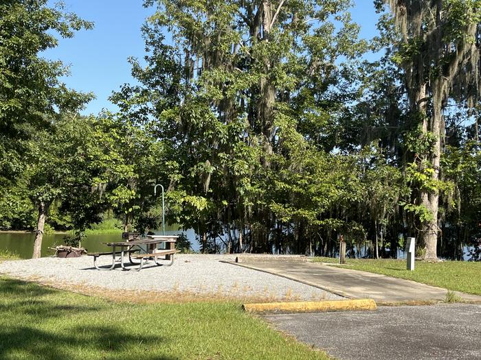 A photo of Site 81 of Loop CLOO at BLUFF CREEK with Picnic Table, Electricity Hookup, Sewer Hookup, Fire Pit, Shade, Food Storage, Tent Pad, Full Hookup, Waterfront, Lantern Pole, Water Hookup