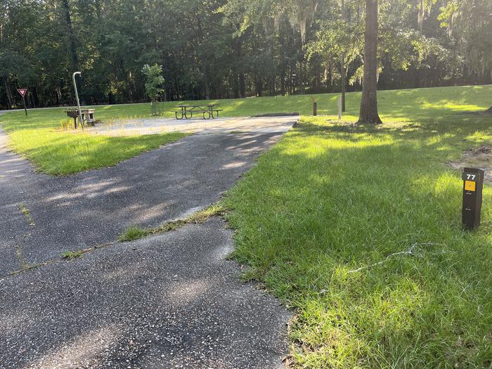 A photo of Site 77 of Loop CLOO at BLUFF CREEK with Picnic Table, Electricity Hookup, Sewer Hookup, Fire Pit, Shade, Food Storage, Full Hookup, Lantern Pole, Water Hookup