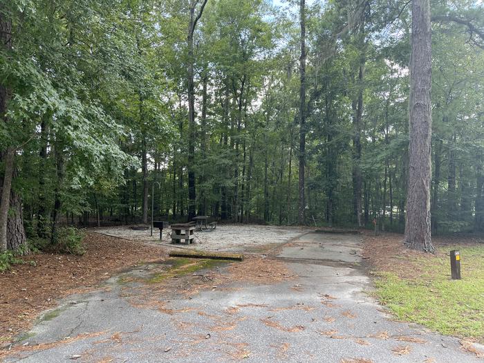 A photo of Site 48 of Loop RFOR at BLUFF CREEK with Picnic Table, Electricity Hookup, Sewer Hookup, Fire Pit, Shade, Tent Pad, Full Hookup, Waterfront, Lantern Pole, Water Hookup