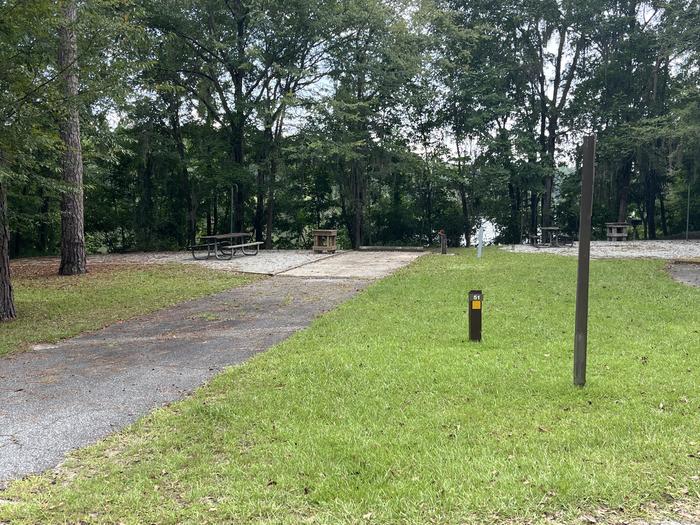 A photo of Site 51 of Loop RFOR at BLUFF CREEK with Picnic Table, Electricity Hookup, Sewer Hookup, Fire Pit, Shade, Tent Pad, Full Hookup, Waterfront, Lantern Pole, Water Hookup