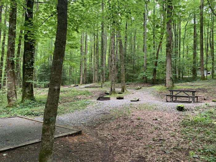 A photo of Site B40 of Loop B-Loop at COSBY CAMPGROUND with Picnic Table, Fire Pit, Tent Pad