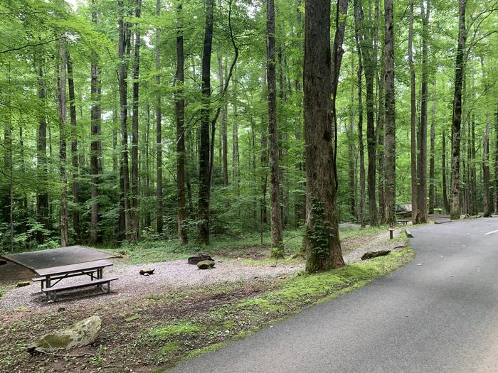 A photo of Site B40 of Loop B-Loop at COSBY CAMPGROUND with Picnic Table, Fire Pit, Tent Pad