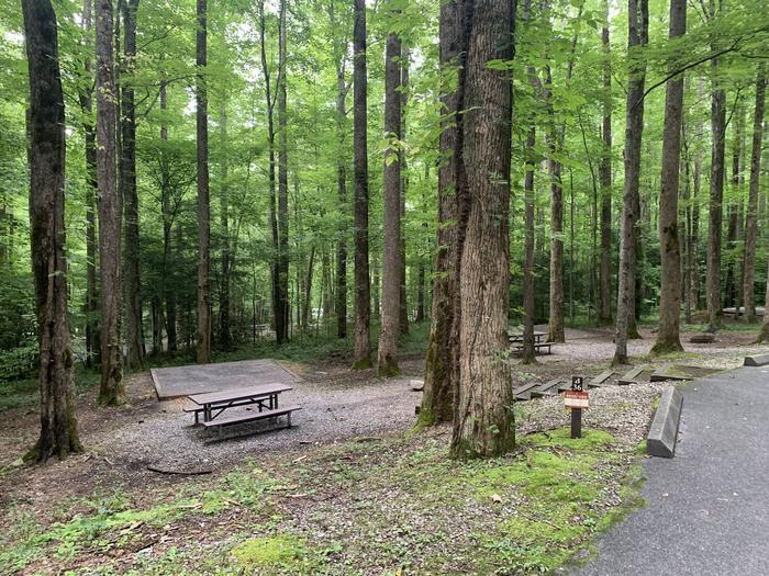 A photo of Site B36 of Loop B-Loop at COSBY CAMPGROUND with Picnic Table, Fire Pit, Tent Pad